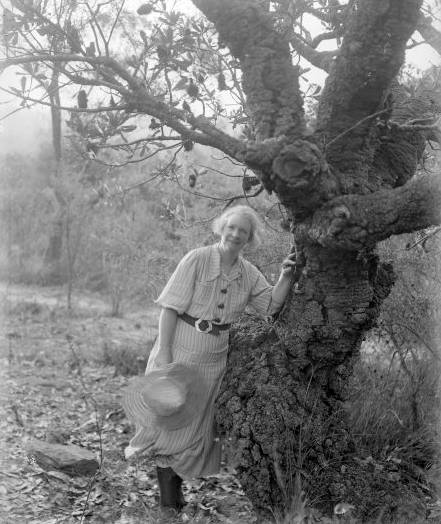 Image of Margaret Preston